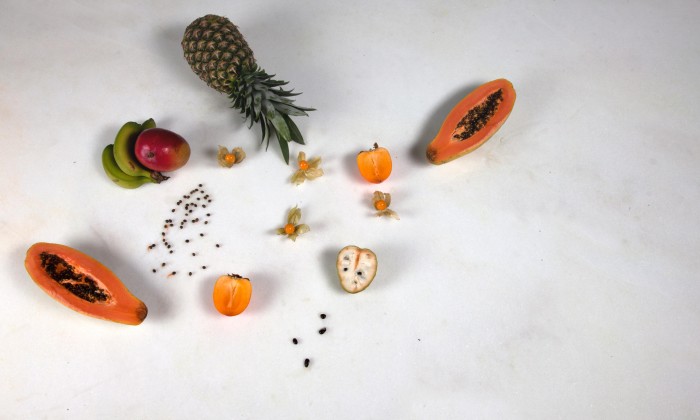 SShow_WhiteKP-polido10_1B